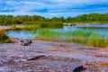 Pristine coastline of Aland islands in Finland Royalty Free Stock Photo