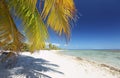 Coco palm fronds over white sandy beach