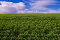 Pristine farmland with blue sky