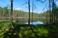 Pristine forest lake, lost in the forest. Royalty Free Stock Photo