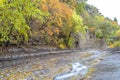 Pristine forest landscape panorama