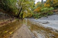 Pristine forest landscape panorama