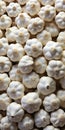 Pristine garlic heads in a cool white color temperature
