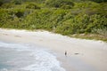 Rendezvous Bay, Antigua