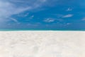 Pristine island beach closeup. Summer landscape sunny sea sky white sand palm tree. Amazing travel wallpaper Royalty Free Stock Photo