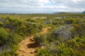 Landscape in Tasmania Royalty Free Stock Photo