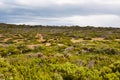 Landscape in Tasmania Royalty Free Stock Photo