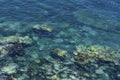 Pristine ocean water, shallow coast with clear view of pebbles and rocks underneath