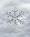 Pristine snowflake, macro shot, intricate details, stark white field , digital photography