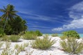 Pristine Tropical Beach on Christmas Island, Kiribati