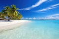 Pristine tropical beach with palm trees and clear blue water Royalty Free Stock Photo