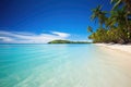 a pristine tropical beach with palm trees and crystal blue water