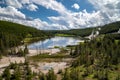 Pristine view of Nymph Lake in Yellowstone National Park, featuring lodgepole pines and thermal hot springs