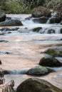 The pristine waters of the Savegre River. Costa Rica Royalty Free Stock Photo