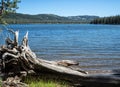 Pristine Webber Lake Royalty Free Stock Photo