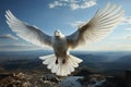 Pristine white homing pigeon soars through the endless, open skies