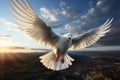 Pristine white homing pigeon soars through the endless, open skies