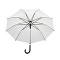 A pristine white open umbrella with a curved black handle, isolated against a clean white background, ai generated isolated on Royalty Free Stock Photo