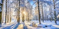 Pristine White Winter Forest Landscape Royalty Free Stock Photo