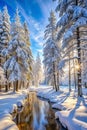 Pristine White Winter Forest Landscape Royalty Free Stock Photo