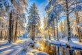 Pristine White Winter Forest Landscape Royalty Free Stock Photo