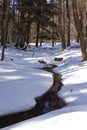Pristine Winter Creek Royalty Free Stock Photo