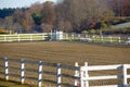 A Pristinely, Raked Equine Arena