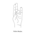 Prithvi Mudra / Gesture of Earth. Vector