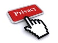 Privacy button Royalty Free Stock Photo