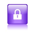 Privacy icon web button Royalty Free Stock Photo
