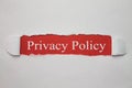 Privacy Policy word on the torn paper.