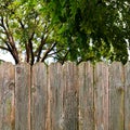 Rustic textured wood fence with green shade trees background