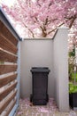 A private black garbage container is located next to the sakura tree. Royalty Free Stock Photo