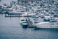 private boats and yachts are moored in the harbor at Elliott Bay Royalty Free Stock Photo