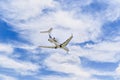 Private business jet flying under a blue sky Royalty Free Stock Photo