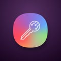 Private digital key app icon Royalty Free Stock Photo