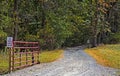 Private Entrance Gravel Road in early Fall Lined with Trees Royalty Free Stock Photo