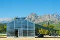 Private farm greenhouse, industrial plantation, car nearby