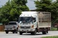 Private Hino Cargo Truck for elephant move