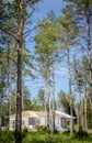 Private home house being built work in progress gray brick walls up and timber roof truss in lush pine tree forest beautiful su