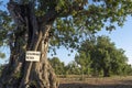 A private hunting preserve sign in Spanish language Royalty Free Stock Photo