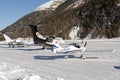 Private jets in Engadin St Moritz airport in Switzerland