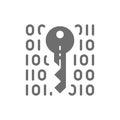 Private key, coding, cryptography, cyber security grey icon. Royalty Free Stock Photo