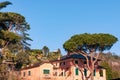 Private residence with lare trees, on Arcidosso seacoast, Tuscany Italy with blue sky