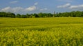 Holy Trinity Church, Privett in the South Downs National Park, UK Royalty Free Stock Photo