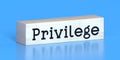 Privilege - word on wooden block