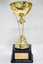 Prize cup Royalty Free Stock Photo
