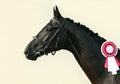 Prizewinning black race horse