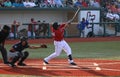 Pro Baseball game action