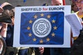 Pro-EU anti-Brexit signs, flags and placards at the National Rejoin March in London.